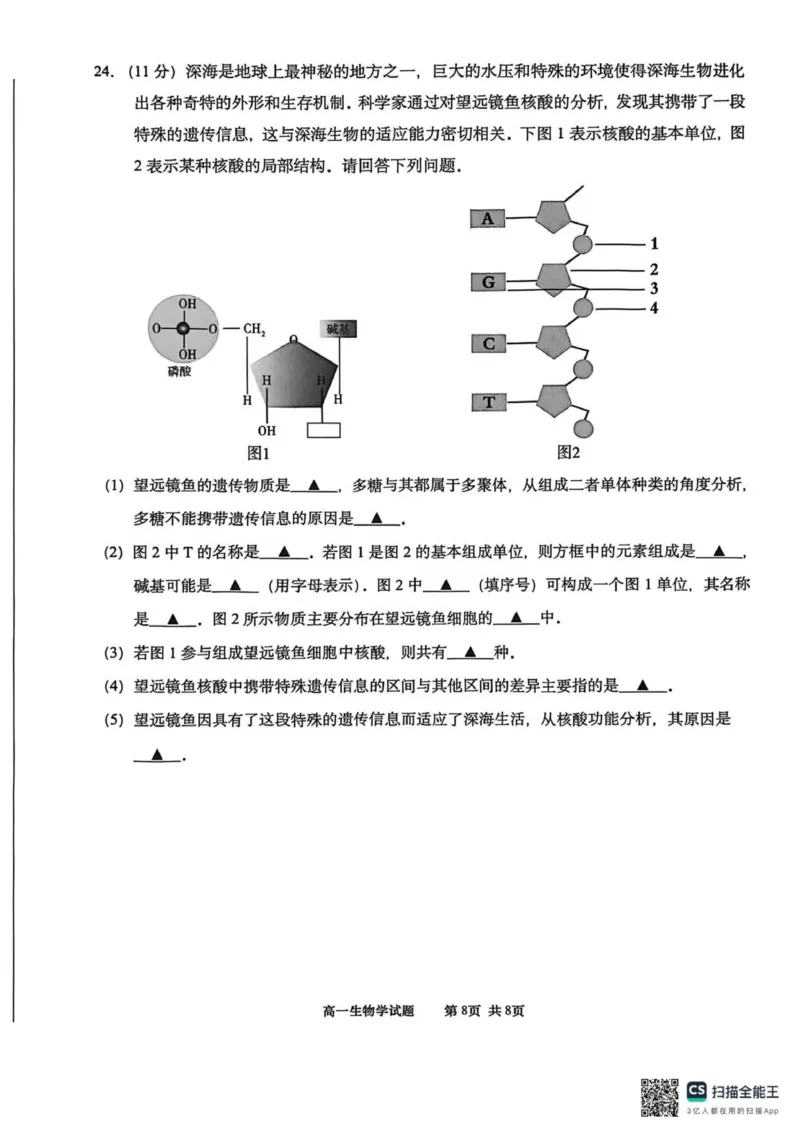 江苏南通2025-2026学年10月测试高一生物_2025年10月高一试卷_251016江苏省南通市2025-2026学年高一上学期10月调研测试（全）