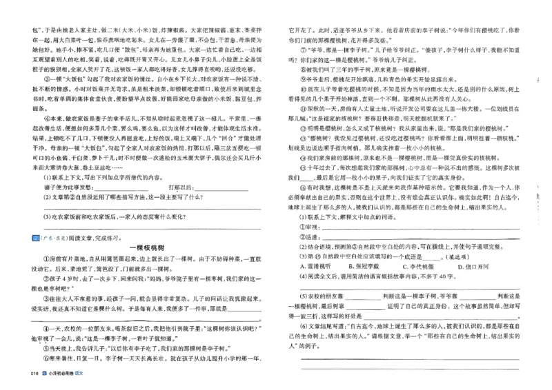 全脑图书2025版小升初语文必刷卷_小升初必刷卷（语数英）