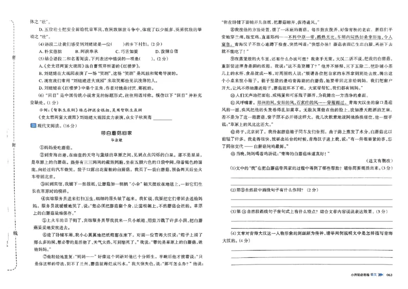 全脑图书2025版小升初语文必刷卷_小升初必刷卷（语数英）