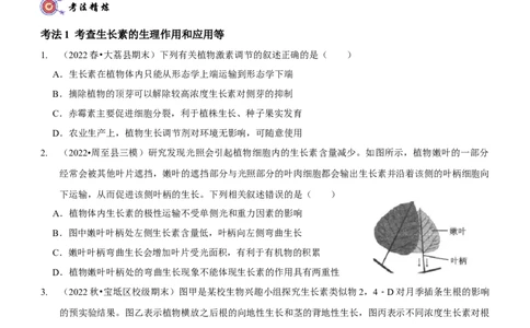 第11讲植物生命活动的调节（讲练）（原卷版）_新高考复习资料_2023年新高考复习资料_二轮复习_2023年高考生物二轮复习讲练测（新教材专用）