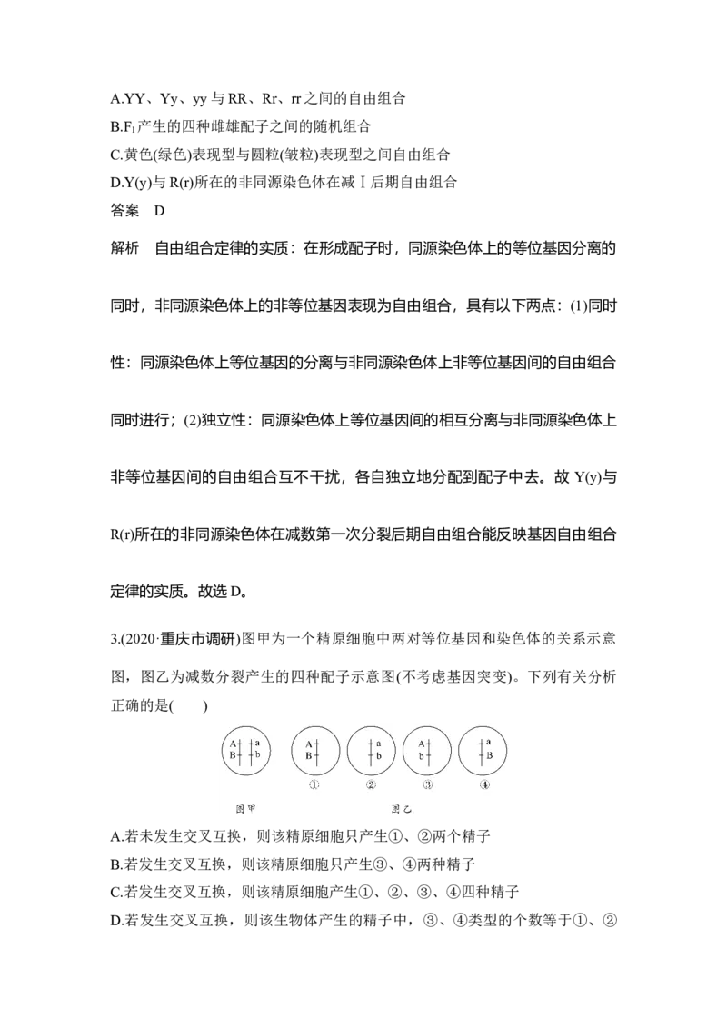 第14讲基因的自由组合定律_通用版（老高考）复习资料_2023年复习资料_一轮复习_2023年高考生物一轮复习讲义+课件（全国版）_2023年高考生物一轮复习讲义（全国版）_赠补充习题