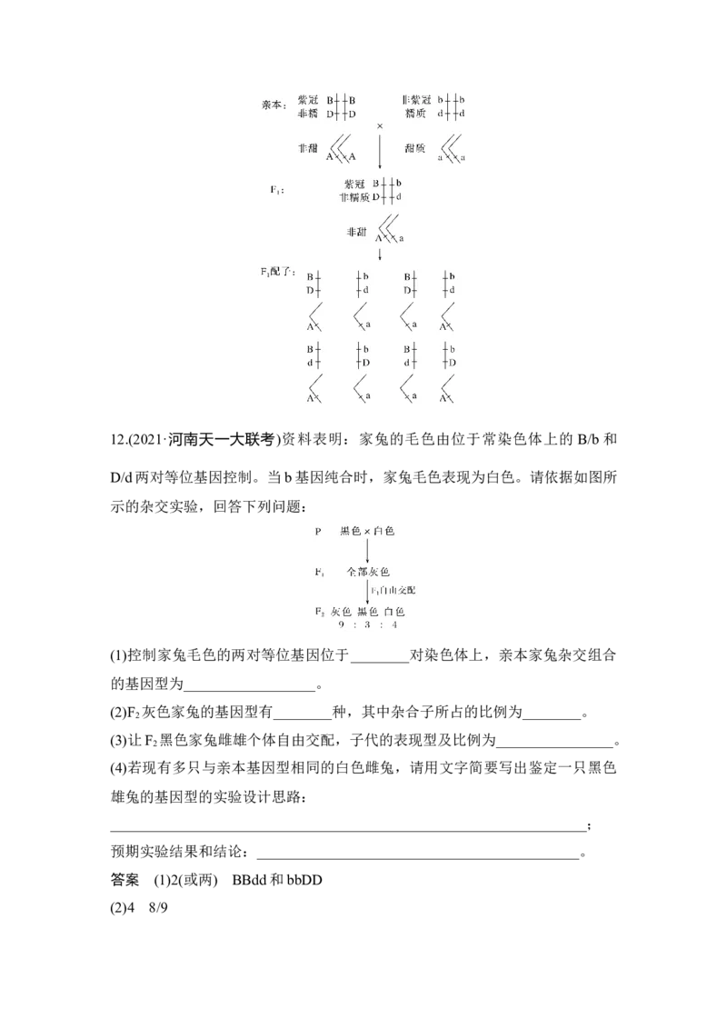 第14讲基因的自由组合定律_通用版（老高考）复习资料_2023年复习资料_一轮复习_2023年高考生物一轮复习讲义+课件（全国版）_2023年高考生物一轮复习讲义（全国版）_赠补充习题