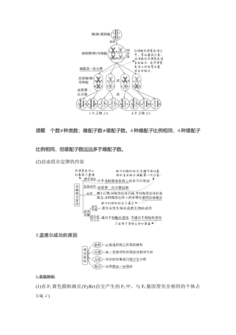 第14讲基因的自由组合定律_通用版（老高考）复习资料_2023年复习资料_一轮复习_2023年高考生物一轮复习讲义+课件（全国版）_2023年高考生物一轮复习讲义（全国版）_赠补充习题