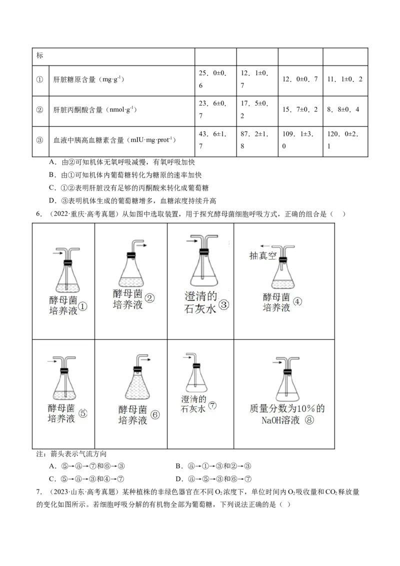 第09讲细胞呼吸（练习）（原卷版）_新高考复习资料_2025年新高考资料_2025年高考生物一轮复习讲练测（新教材新高考）