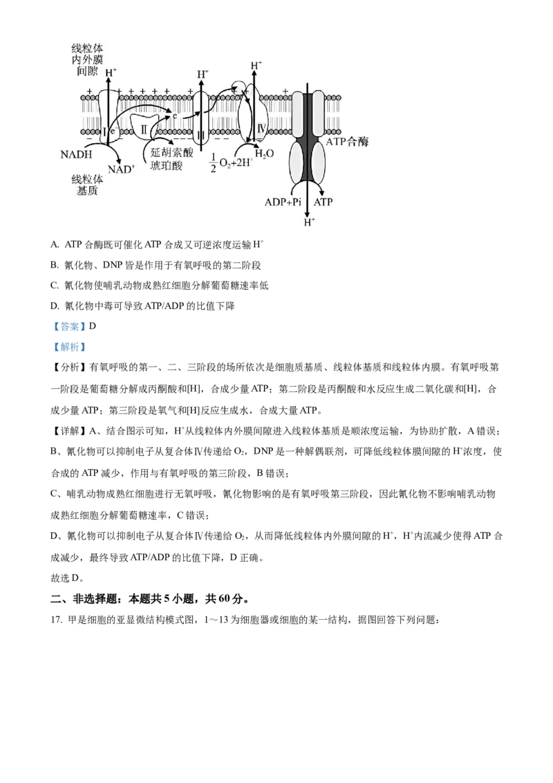 广东省清远市2024-2025学年高一上学期期末考试生物试题Word版含解析_2025年03月试卷_0312广东省清远市2024-2025学年高一上学期期末考试