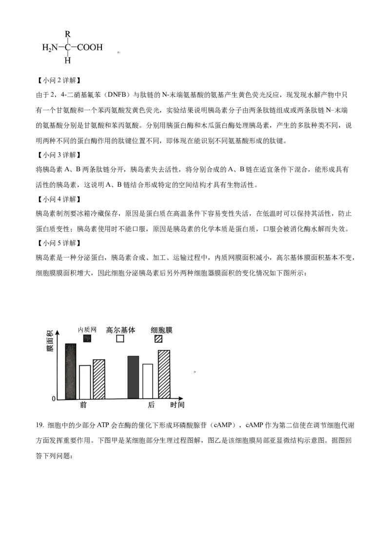 广东省清远市2024-2025学年高一上学期期末考试生物试题Word版含解析_2025年03月试卷_0312广东省清远市2024-2025学年高一上学期期末考试