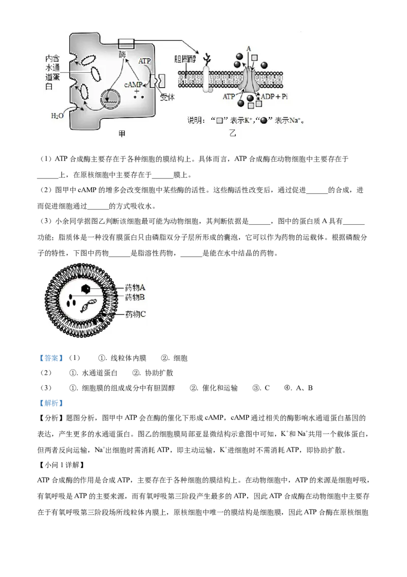 广东省清远市2024-2025学年高一上学期期末考试生物试题Word版含解析_2025年03月试卷_0312广东省清远市2024-2025学年高一上学期期末考试