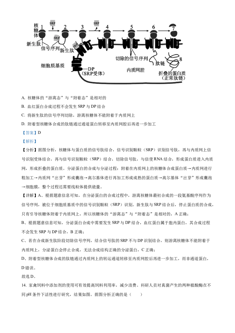 广东省清远市2024-2025学年高一上学期期末考试生物试题Word版含解析_2025年03月试卷_0312广东省清远市2024-2025学年高一上学期期末考试