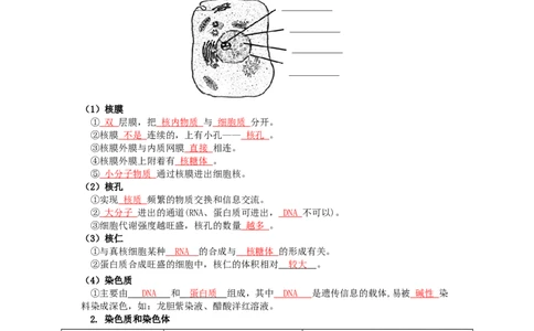 第10讲细胞核的结构和功能-精准备考备战2023年高考生物一轮复习精品讲义（生物学必修1）（解析版）_通用版（老高考）复习资料_2023年复习资料_一轮复习