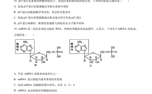 精品解析：辽宁省辽阳市多校联考2025-2026学年高一上学期期中考试生物试卷（原卷版）_2025年11月高一试卷_251112辽宁省辽阳市2025-2026学年高一上学期11月期中
