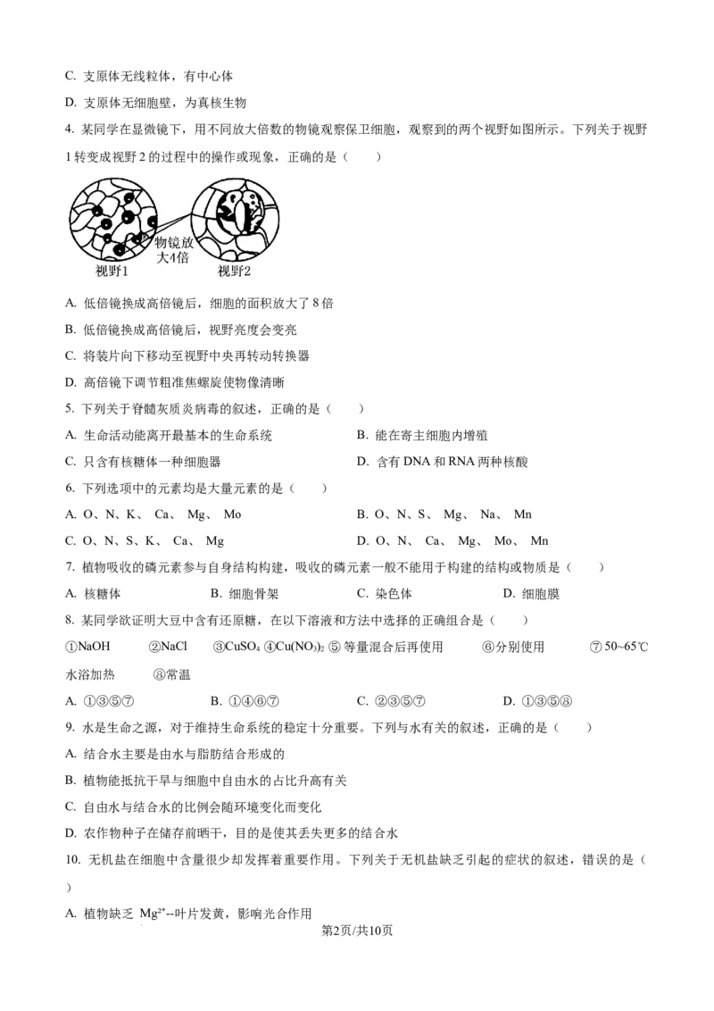 精品解析：辽宁省辽阳市多校联考2025-2026学年高一上学期期中考试生物试卷（原卷版）_2025年11月高一试卷_251112辽宁省辽阳市2025-2026学年高一上学期11月期中