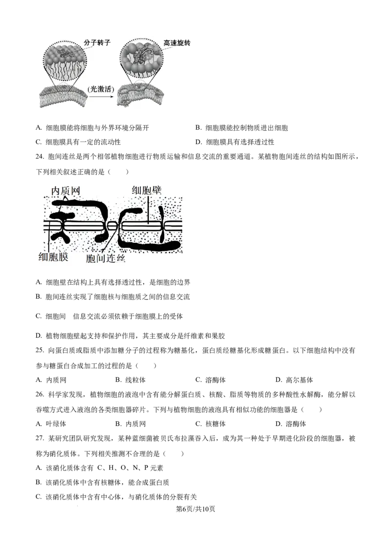精品解析：辽宁省辽阳市多校联考2025-2026学年高一上学期期中考试生物试卷（原卷版）_2025年11月高一试卷_251112辽宁省辽阳市2025-2026学年高一上学期11月期中
