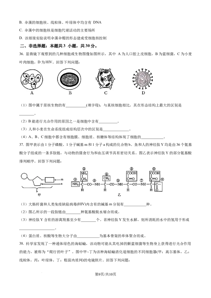 精品解析：辽宁省辽阳市多校联考2025-2026学年高一上学期期中考试生物试卷（原卷版）_2025年11月高一试卷_251112辽宁省辽阳市2025-2026学年高一上学期11月期中