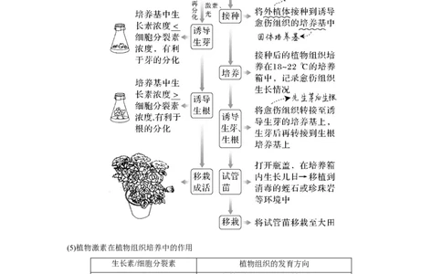 第33讲　动、植物细胞工程_新高考复习资料_2023年新高考复习资料_一轮复习_2023年新高考大一轮复习讲义_2023年高考生物一轮复习讲义（新人教新高考）_赠补充习题