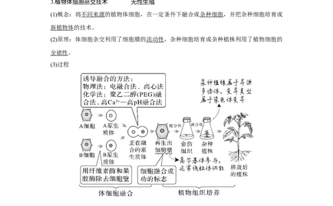 第33讲　动、植物细胞工程_新高考复习资料_2023年新高考复习资料_一轮复习_2023年新高考大一轮复习讲义_2023年高考生物一轮复习讲义（新人教新高考）_赠补充习题