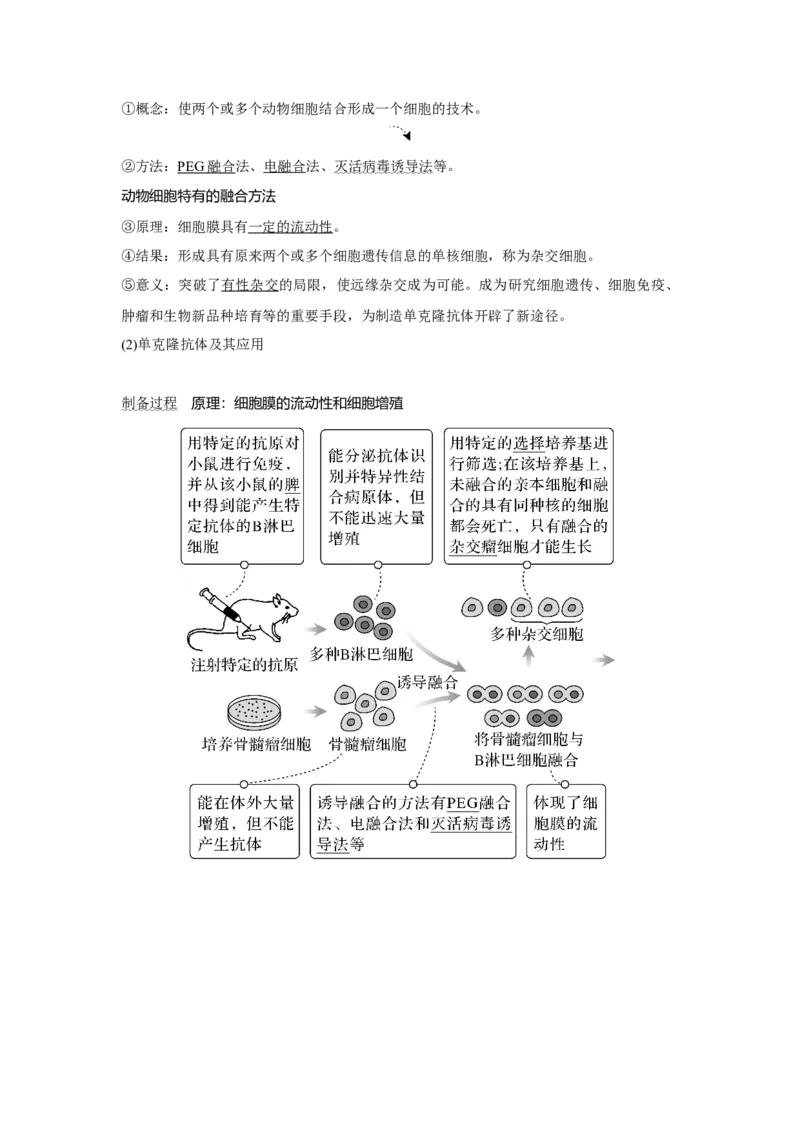 第33讲　动、植物细胞工程_新高考复习资料_2023年新高考复习资料_一轮复习_2023年新高考大一轮复习讲义_2023年高考生物一轮复习讲义（新人教新高考）_赠补充习题