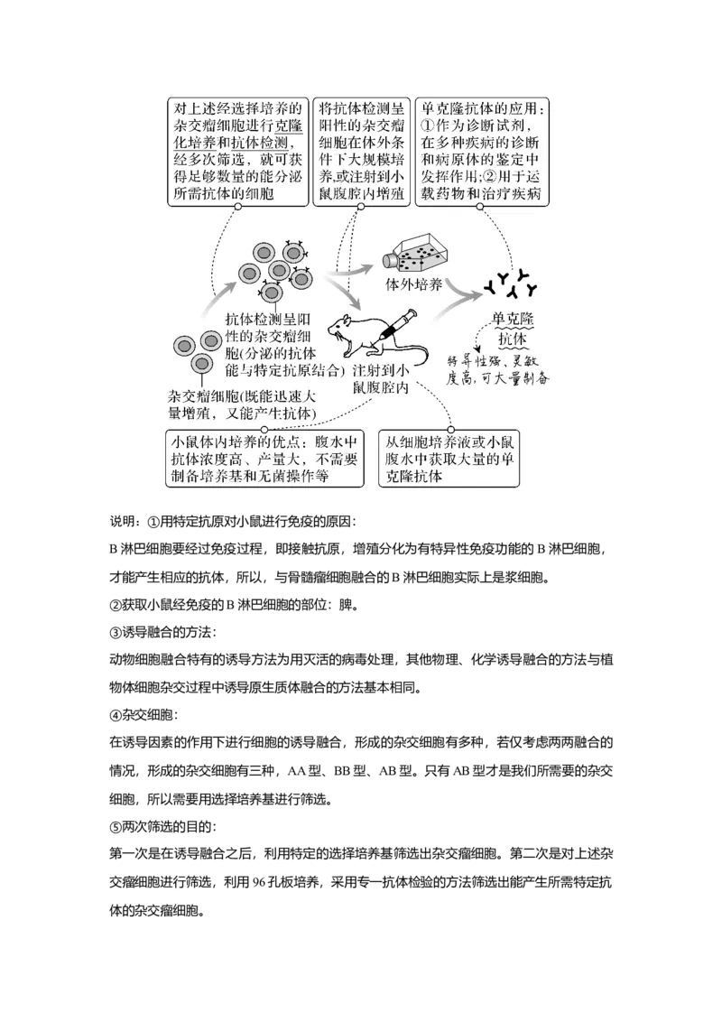 第33讲　动、植物细胞工程_新高考复习资料_2023年新高考复习资料_一轮复习_2023年新高考大一轮复习讲义_2023年高考生物一轮复习讲义（新人教新高考）_赠补充习题
