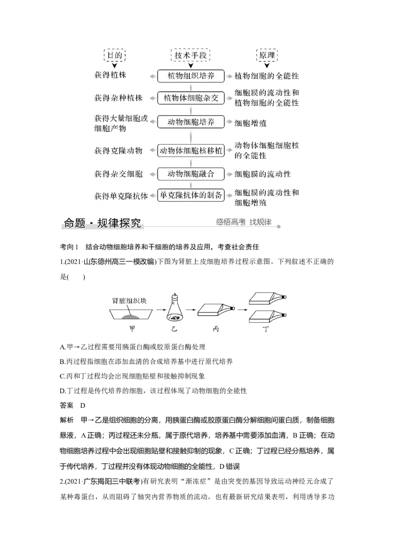 第33讲　动、植物细胞工程_新高考复习资料_2023年新高考复习资料_一轮复习_2023年新高考大一轮复习讲义_2023年高考生物一轮复习讲义（新人教新高考）_赠补充习题