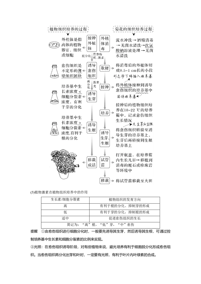 第33讲　动、植物细胞工程_新高考复习资料_2023年新高考复习资料_一轮复习_2023年新高考大一轮复习讲义_2023年高考生物一轮复习讲义（新人教新高考）_赠补充习题