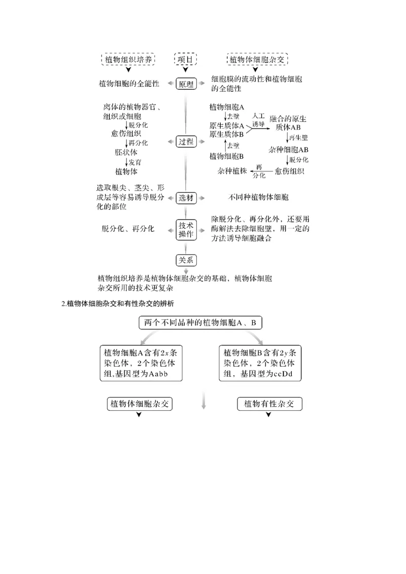 第33讲　动、植物细胞工程_新高考复习资料_2023年新高考复习资料_一轮复习_2023年新高考大一轮复习讲义_2023年高考生物一轮复习讲义（新人教新高考）_赠补充习题