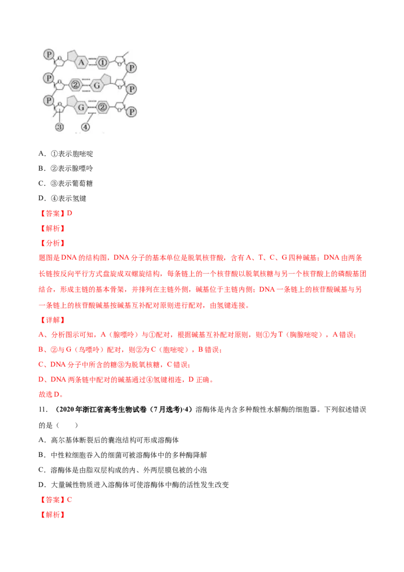 第一单元细胞的组成与结构（作业）_新高考复习资料_2022年新高考复习资料_2022届一轮复习讲练结合7.13更新_系列一_第一单元细胞的组成与结构