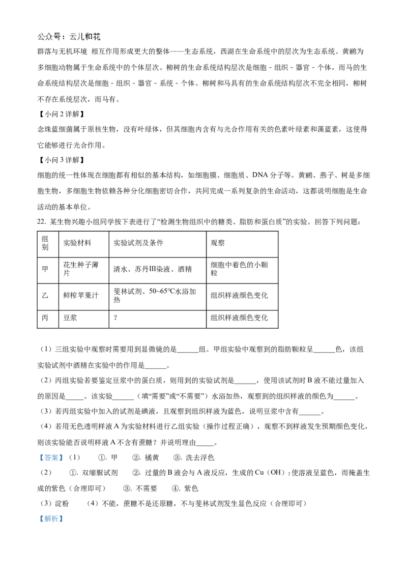 河南省九师联考2024-2025学年高一上学期11月期中生物试题Word版含解析_2024年12月试卷_1203河南省九师联考2024-2025学年高一上学期11月期中考试