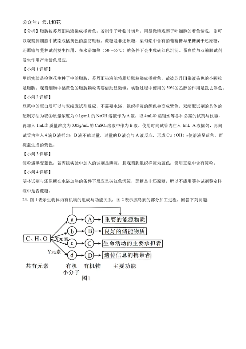 河南省九师联考2024-2025学年高一上学期11月期中生物试题Word版含解析_2024年12月试卷_1203河南省九师联考2024-2025学年高一上学期11月期中考试