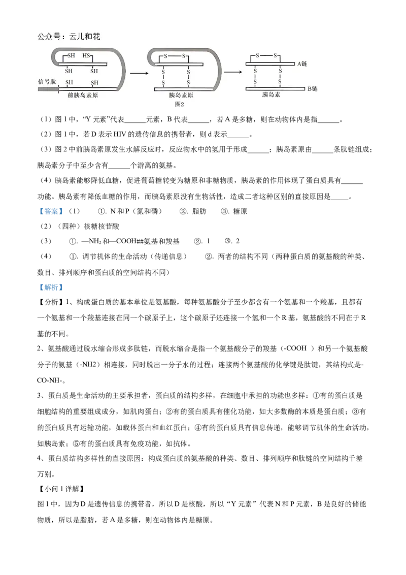 河南省九师联考2024-2025学年高一上学期11月期中生物试题Word版含解析_2024年12月试卷_1203河南省九师联考2024-2025学年高一上学期11月期中考试