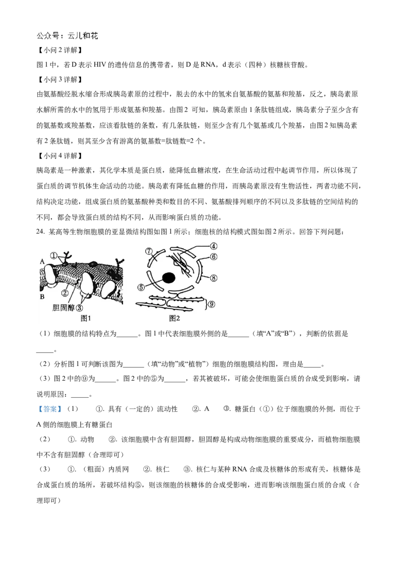 河南省九师联考2024-2025学年高一上学期11月期中生物试题Word版含解析_2024年12月试卷_1203河南省九师联考2024-2025学年高一上学期11月期中考试