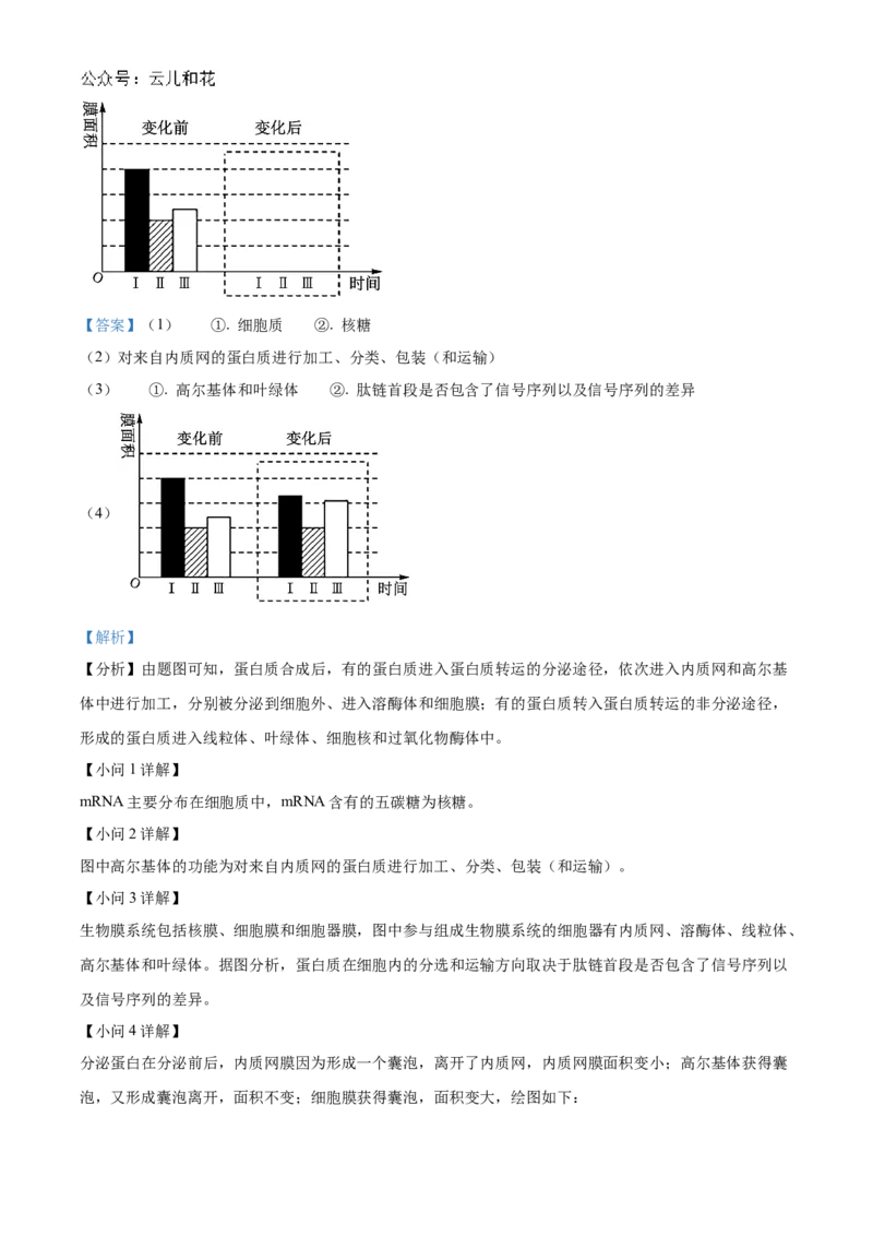 河南省九师联考2024-2025学年高一上学期11月期中生物试题Word版含解析_2024年12月试卷_1203河南省九师联考2024-2025学年高一上学期11月期中考试