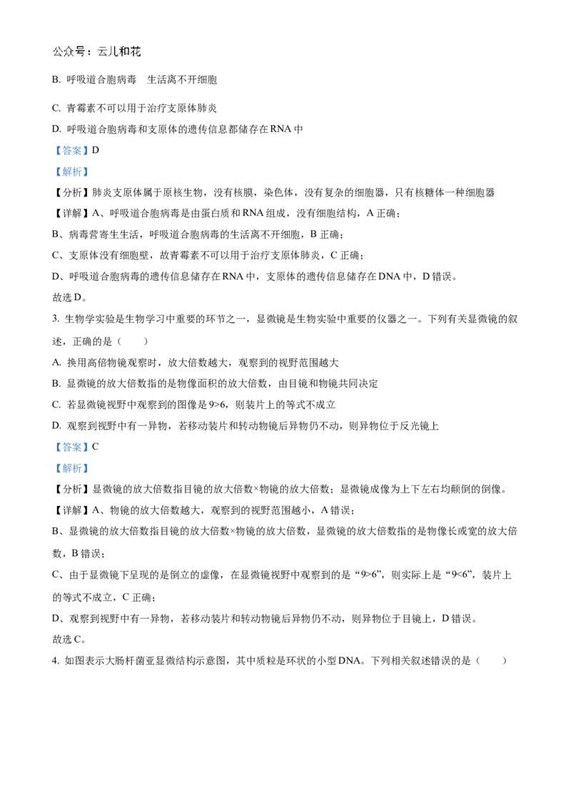 河南省九师联考2024-2025学年高一上学期11月期中生物试题Word版含解析_2024年12月试卷_1203河南省九师联考2024-2025学年高一上学期11月期中考试