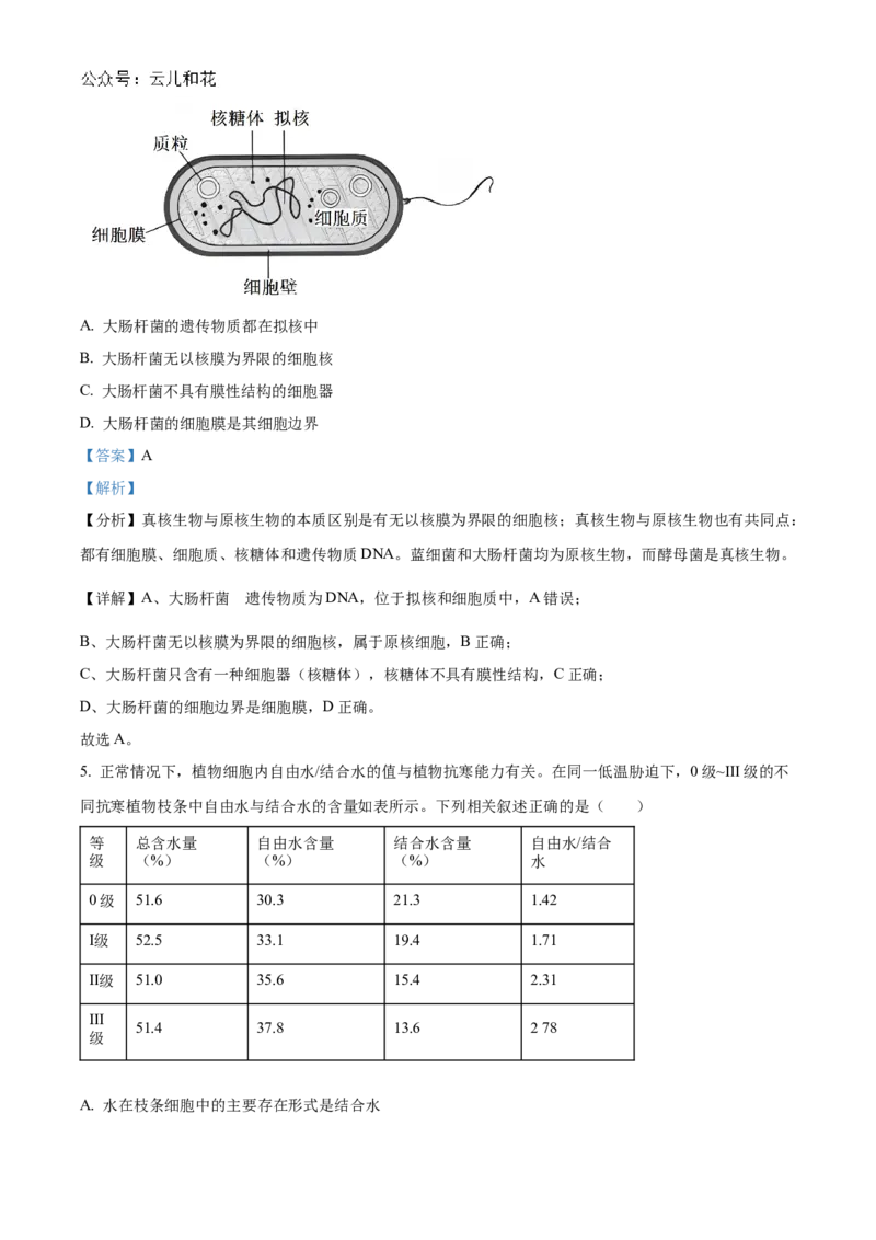河南省九师联考2024-2025学年高一上学期11月期中生物试题Word版含解析_2024年12月试卷_1203河南省九师联考2024-2025学年高一上学期11月期中考试