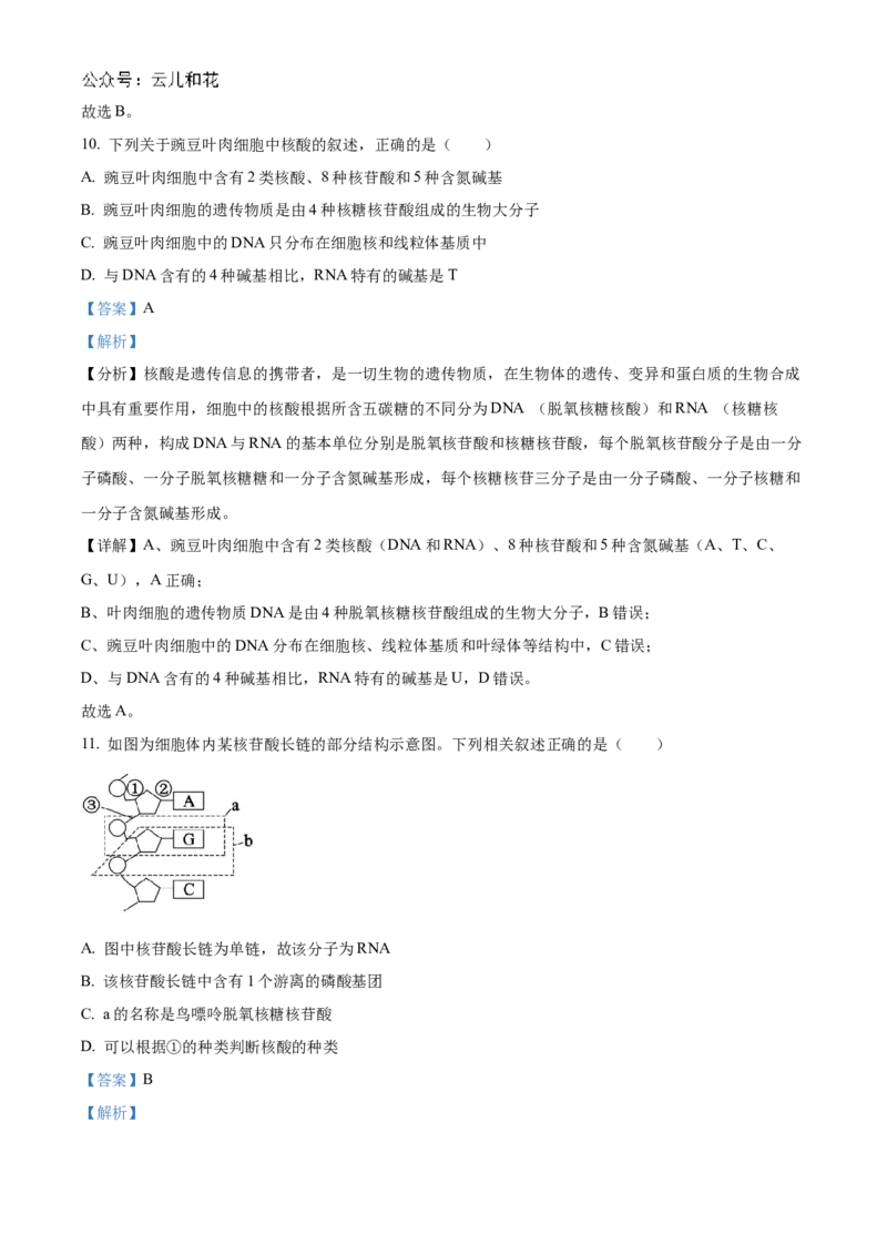 河南省九师联考2024-2025学年高一上学期11月期中生物试题Word版含解析_2024年12月试卷_1203河南省九师联考2024-2025学年高一上学期11月期中考试