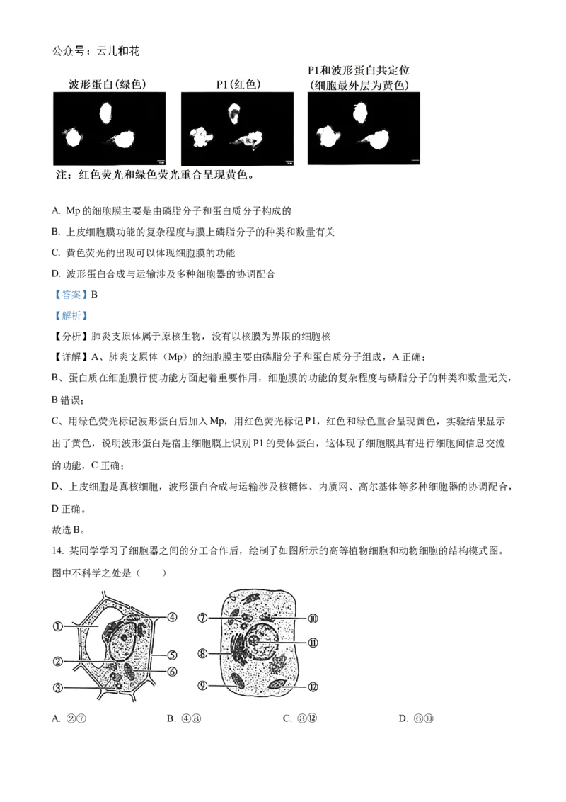 河南省九师联考2024-2025学年高一上学期11月期中生物试题Word版含解析_2024年12月试卷_1203河南省九师联考2024-2025学年高一上学期11月期中考试