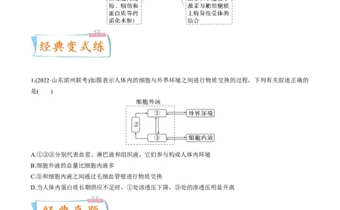 考向16人体内环境稳态及实例-备战2023年高考生物一轮复习考点微专题（全国通用）（原卷版）(1)_通用版（老高考）复习资料_2023年复习资料_一轮复习