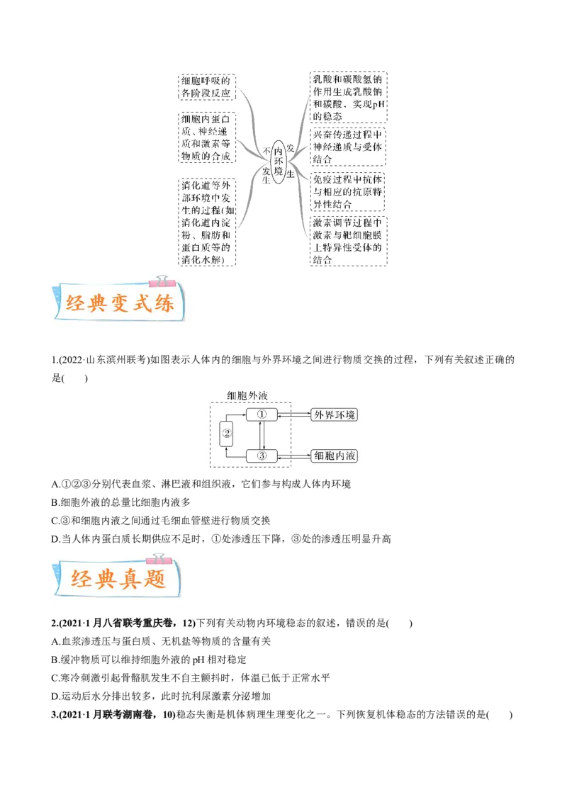 考向16人体内环境稳态及实例-备战2023年高考生物一轮复习考点微专题（全国通用）（原卷版）(1)_通用版（老高考）复习资料_2023年复习资料_一轮复习