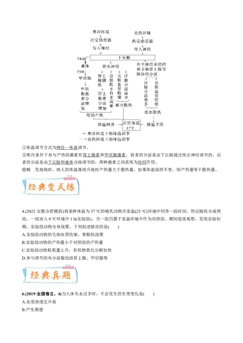 考向16人体内环境稳态及实例-备战2023年高考生物一轮复习考点微专题（全国通用）（原卷版）(1)_通用版（老高考）复习资料_2023年复习资料_一轮复习