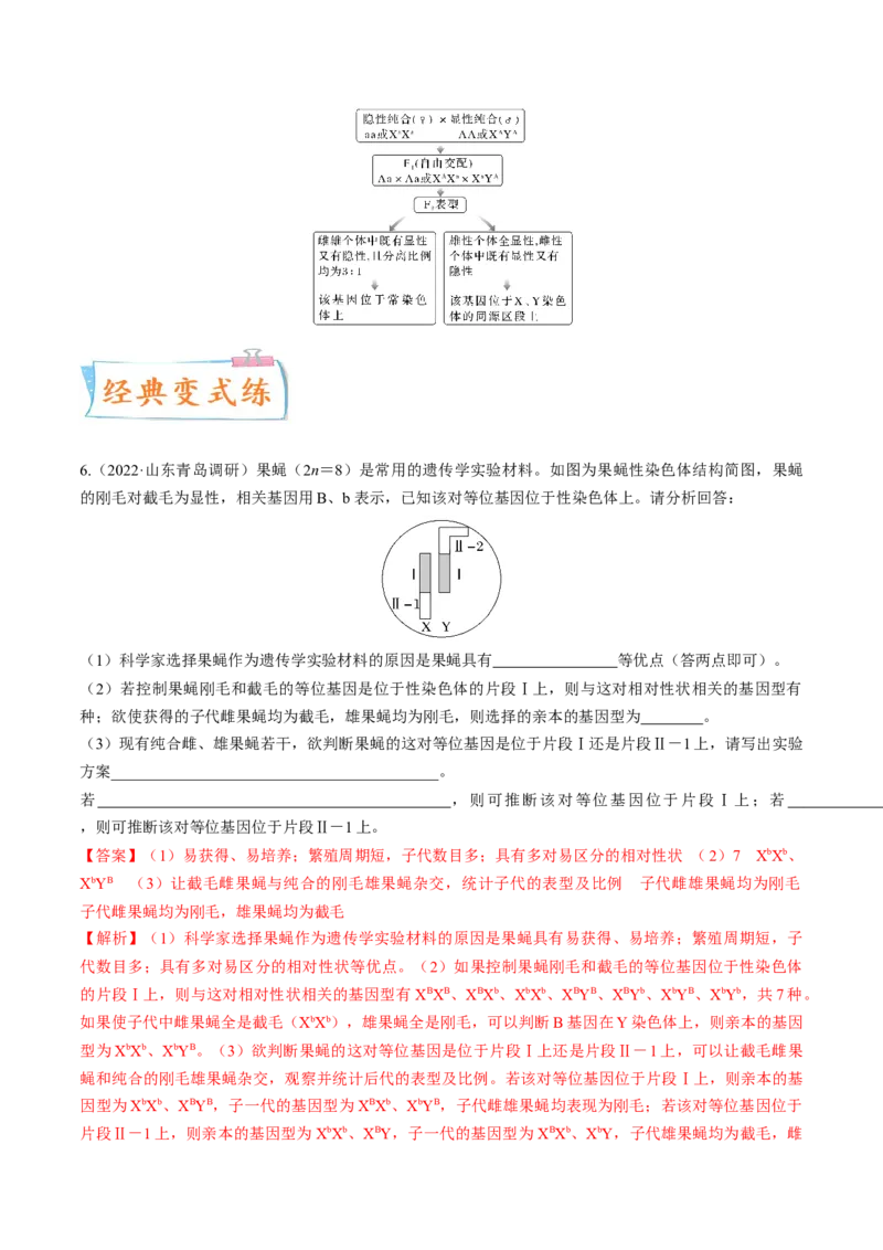 考向11伴性遗传和人类遗传病-备战2023年高考生物一轮复习考点微专题（全国通用）（解析版）(1)_通用版（老高考）复习资料_2023年复习资料_一轮复习