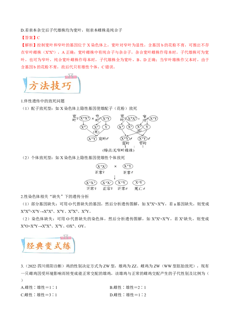 考向11伴性遗传和人类遗传病-备战2023年高考生物一轮复习考点微专题（全国通用）（解析版）(1)_通用版（老高考）复习资料_2023年复习资料_一轮复习