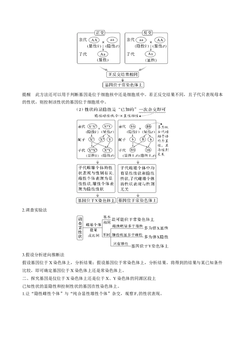 考向11伴性遗传和人类遗传病-备战2023年高考生物一轮复习考点微专题（全国通用）（解析版）(1)_通用版（老高考）复习资料_2023年复习资料_一轮复习