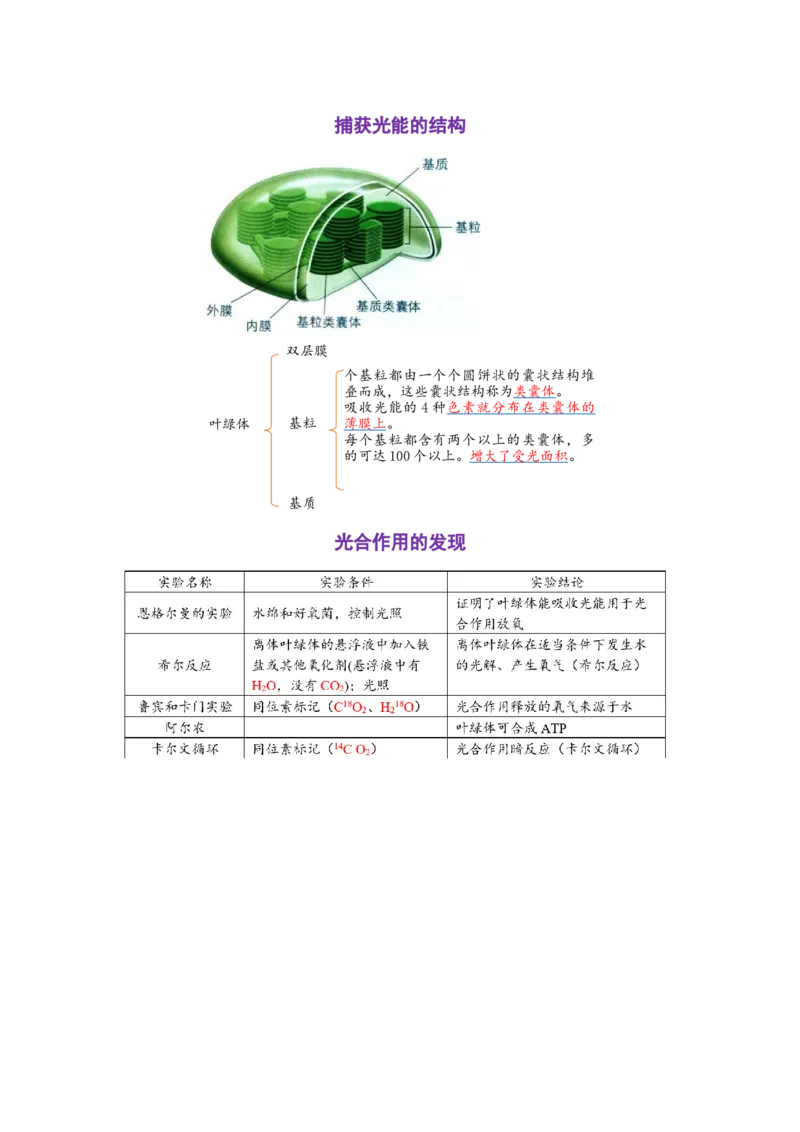 解密04细胞的能量供应和利用（讲义)（教师版）_新高考复习资料_2023年新高考复习资料_二轮复习_高频考点解密2023年高考生物二轮复习讲义+分层训练（全国通用）288808838