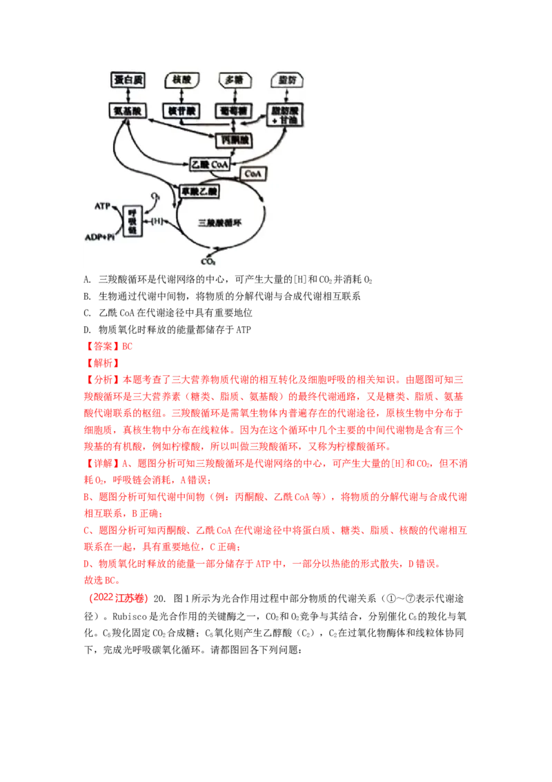 解密04细胞的能量供应和利用（讲义)（教师版）_新高考复习资料_2023年新高考复习资料_二轮复习_高频考点解密2023年高考生物二轮复习讲义+分层训练（全国通用）288808838