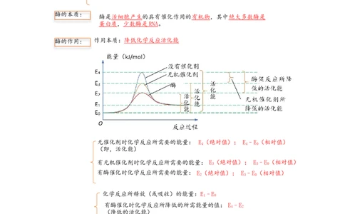 解密04细胞的能量供应和利用（讲义)（教师版）_新高考复习资料_2023年新高考复习资料_二轮复习_高频考点解密2023年高考生物二轮复习讲义+分层训练（全国通用）288808838