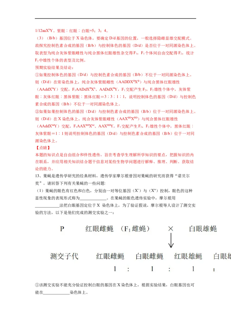 重难点09减数分裂与伴性遗传（解析版）_通用版（老高考）复习资料_2023年复习资料_专项复习_2023年高考生物热点&middot;重点&middot;难点专练（全国通用）