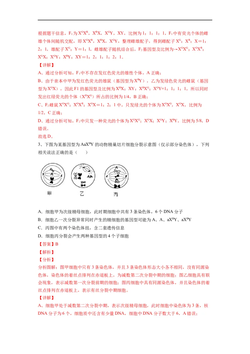 重难点09减数分裂与伴性遗传（解析版）_通用版（老高考）复习资料_2023年复习资料_专项复习_2023年高考生物热点&middot;重点&middot;难点专练（全国通用）