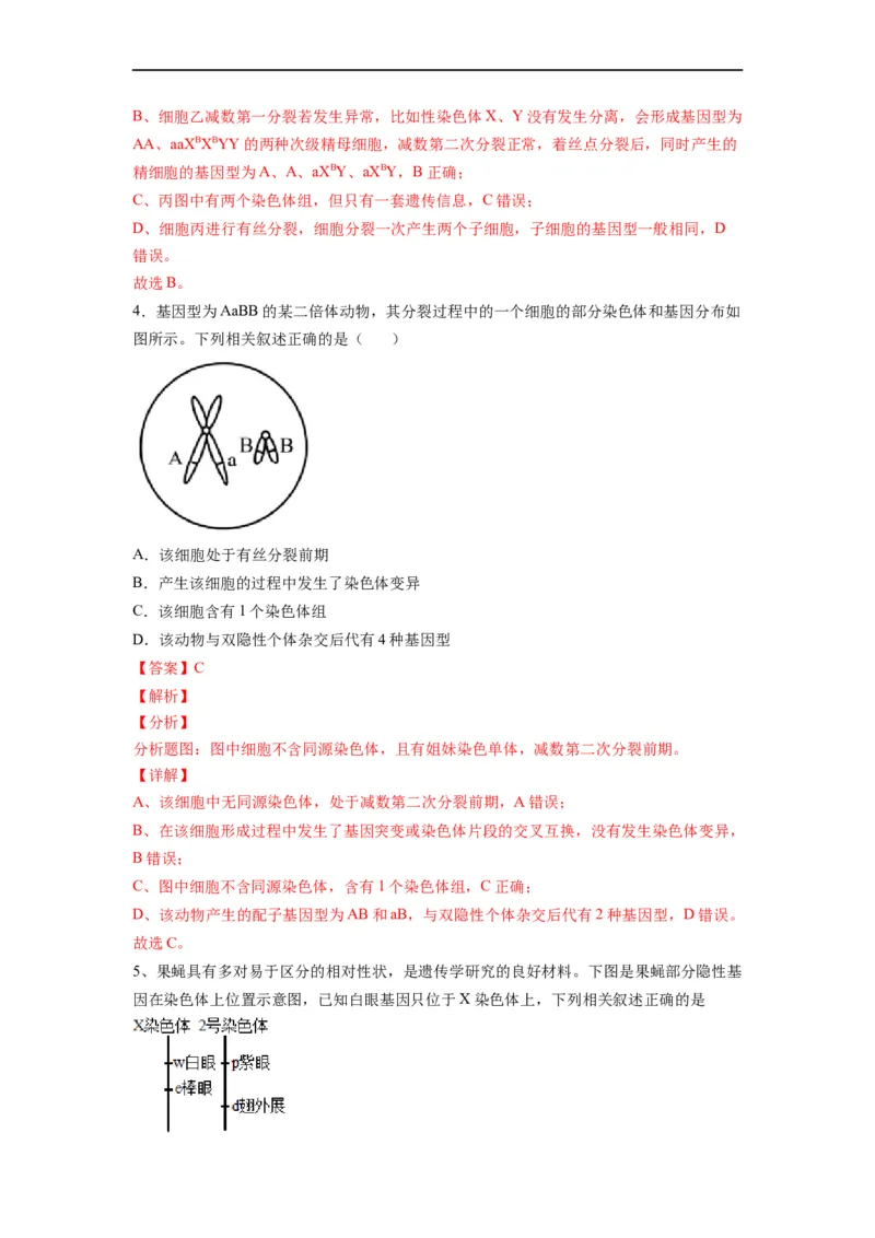 重难点09减数分裂与伴性遗传（解析版）_通用版（老高考）复习资料_2023年复习资料_专项复习_2023年高考生物热点&middot;重点&middot;难点专练（全国通用）
