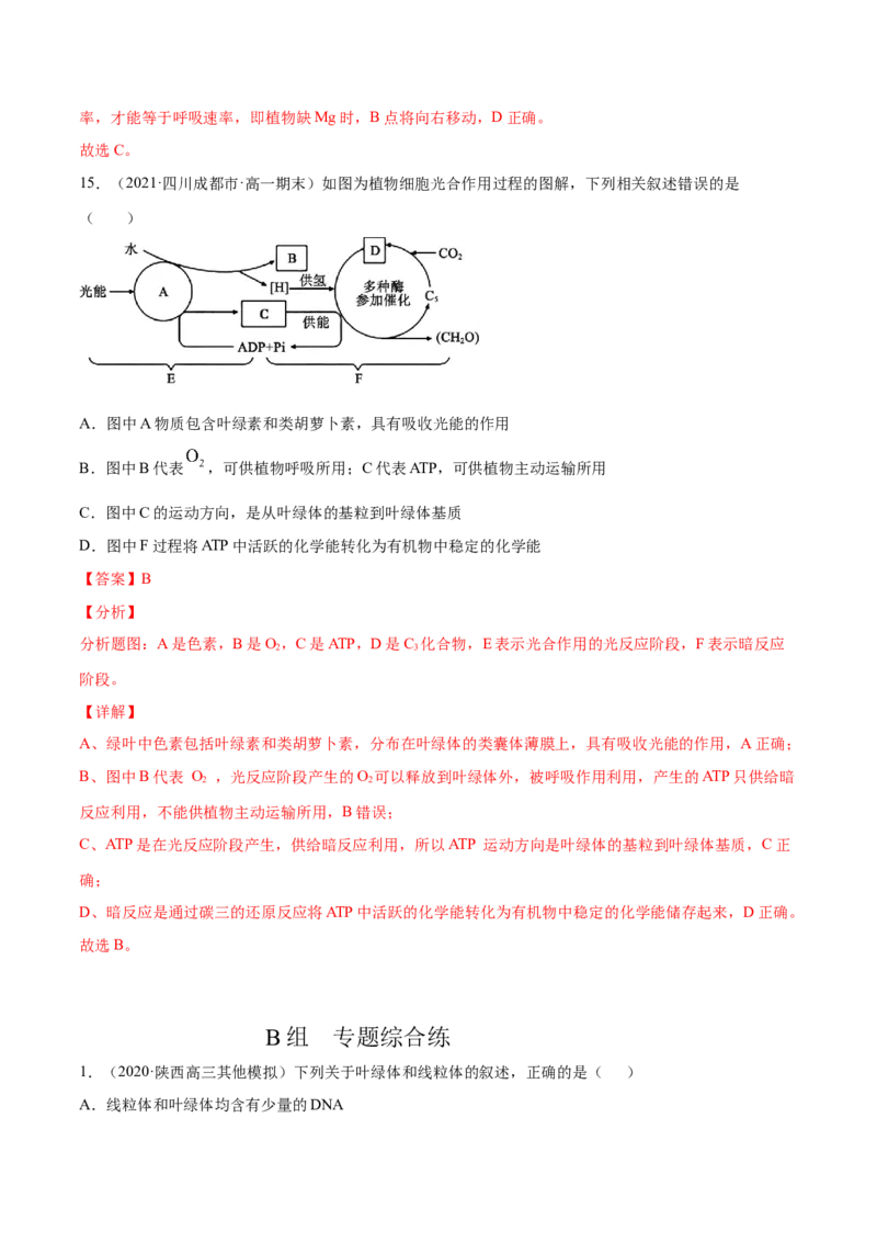 解密06能量之源&mdash;&mdash;光与光合作用（分层训练）（解析版）_新高考复习资料_2021年新高考资料_高频考点解密2021年高考生物二轮复习讲义+分层训练4.7更新