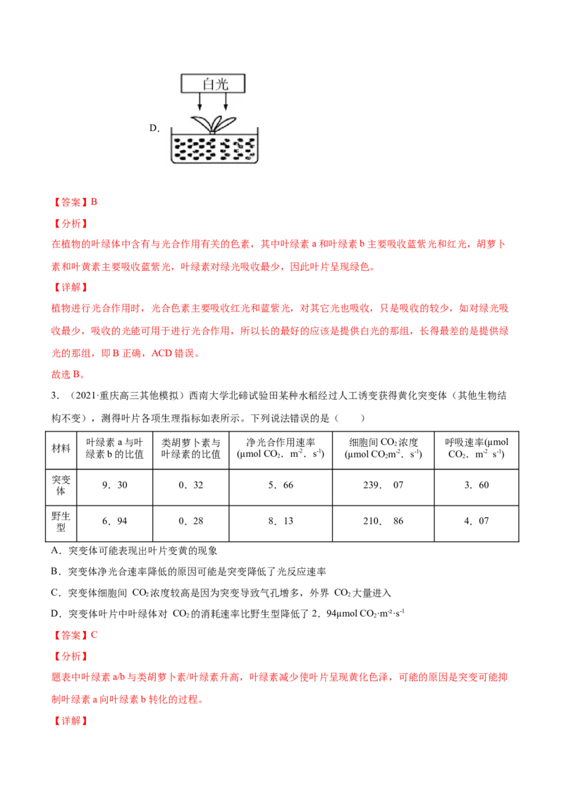 解密06能量之源&mdash;&mdash;光与光合作用（分层训练）（解析版）_新高考复习资料_2021年新高考资料_高频考点解密2021年高考生物二轮复习讲义+分层训练4.7更新