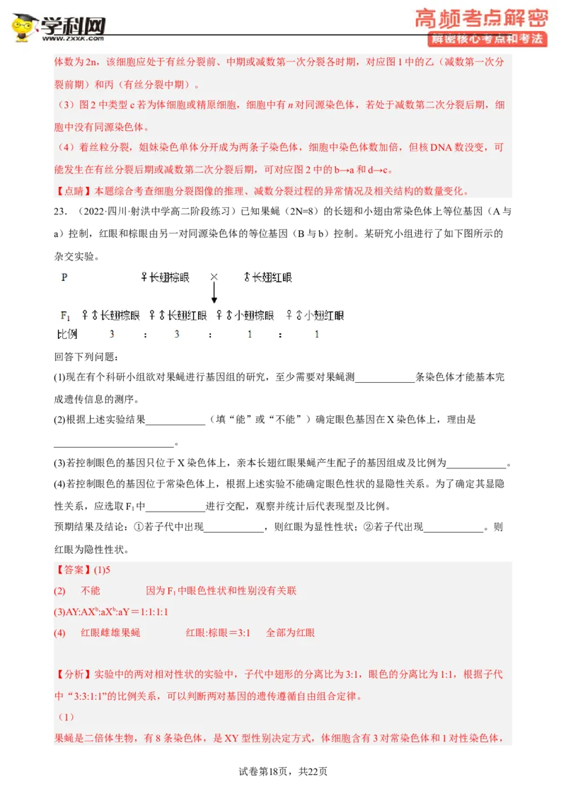 解密07遗传的细胞学基础（分层训练)（解析版）_新高考复习资料_2023年新高考复习资料_二轮复习_高频考点解密2023年高考生物二轮复习讲义+分层训练（全国通用）288808838