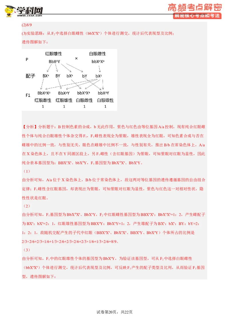 解密07遗传的细胞学基础（分层训练)（解析版）_新高考复习资料_2023年新高考复习资料_二轮复习_高频考点解密2023年高考生物二轮复习讲义+分层训练（全国通用）288808838